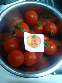 プチトマト01.jpg