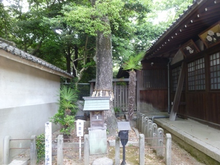丸山神明社 (12).JPG