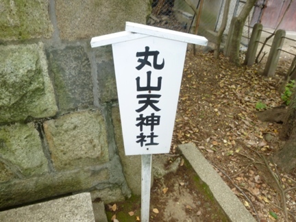 丸山神明社 (18).JPG
