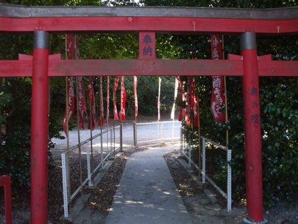 堀田稲荷神社 (15).JPG