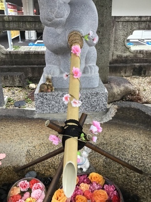 大須三輪神社3月13.jpg