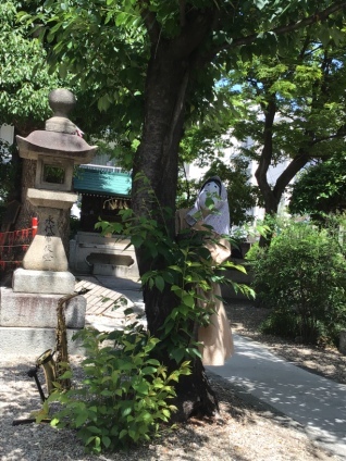 大須三輪神社5月16.jpg