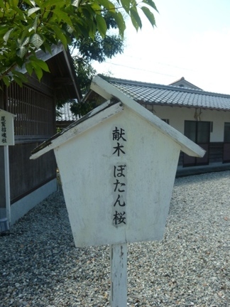 尾鷲神社39.JPG