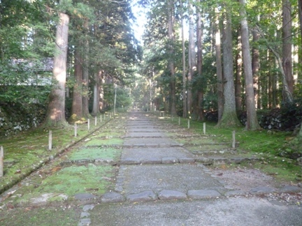 平泉寺白山神社14.JPG