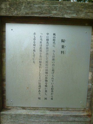 平泉寺白山神社17.JPG