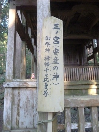 平泉寺白山神社79.JPG