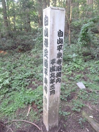 平泉寺白山神社81.JPG