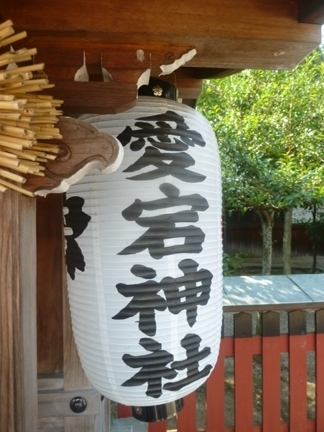 平野神社24.JPG