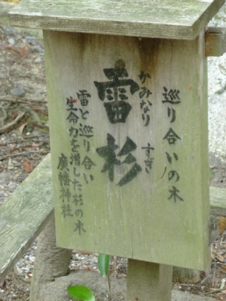 廣幡神社14.JPG