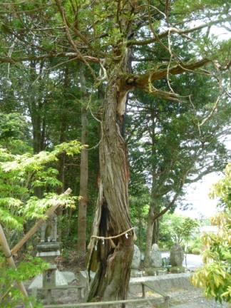 廣幡神社16.JPG