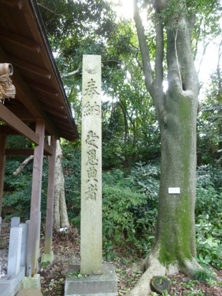 愛知県護国神社 (8).JPG