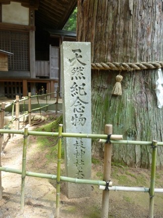 日枝神社 (10).JPG