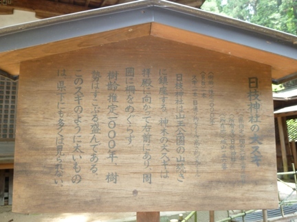 日枝神社 (14).JPG