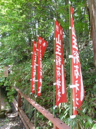 日枝神社 (22).JPG