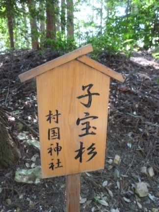 村国神社45.JPG