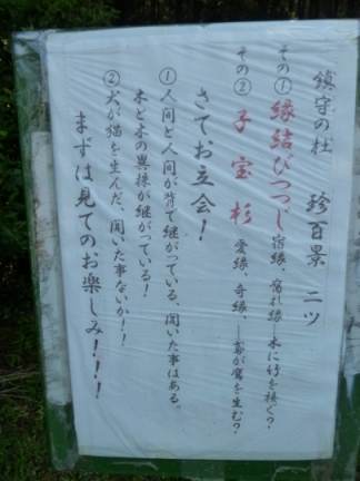 村国神社49.JPG