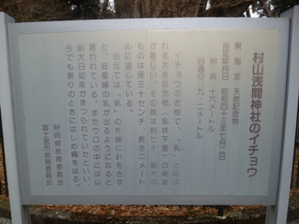 村山浅間神社29.JPG