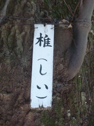 松阪神戸神社20.JPG