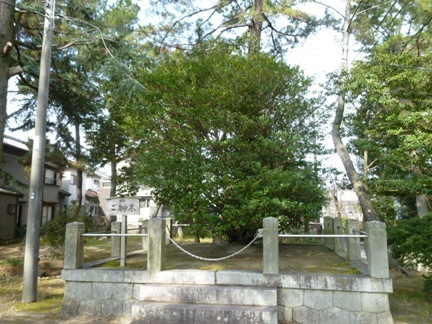 桜井神社17.JPG