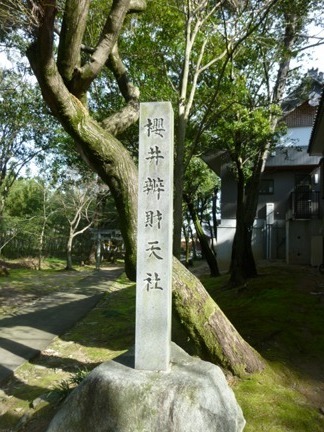桜井神社19.JPG