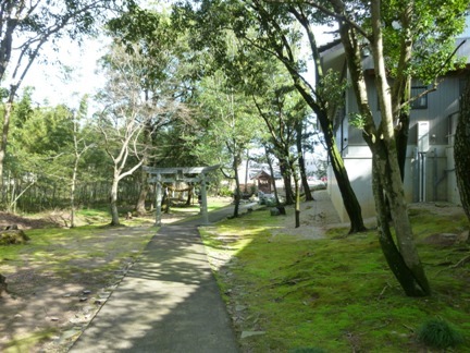 桜井神社20.JPG