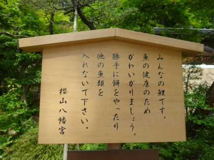 桜山八幡宮 (9).JPG