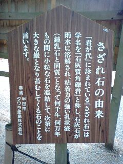 津島神社 (47).jpg
