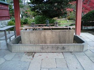 津島神社 (5).jpg
