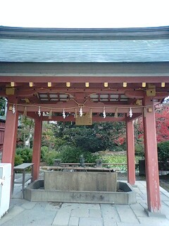 津島神社 (6).jpg