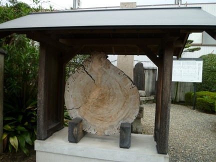 海蔵寺15.JPG