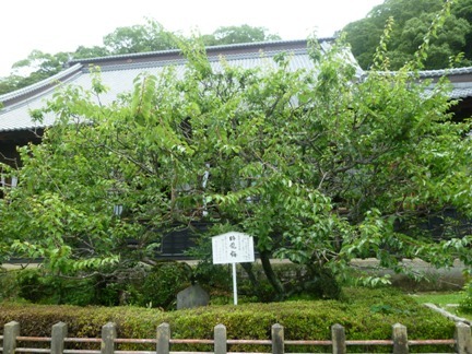 清見寺09.JPG