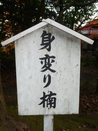 玉の井賀茂神社54.JPG