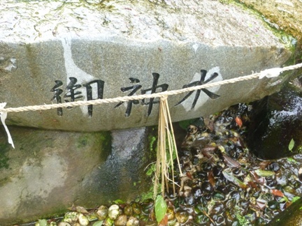 神戸神社27.JPG