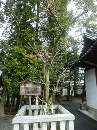立木神社84.JPG