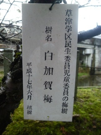 立木神社96.JPG