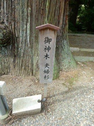 美濃八幡神社11.JPG