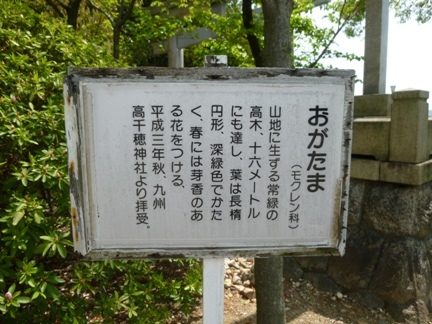 豊藤稲荷神社.JPG