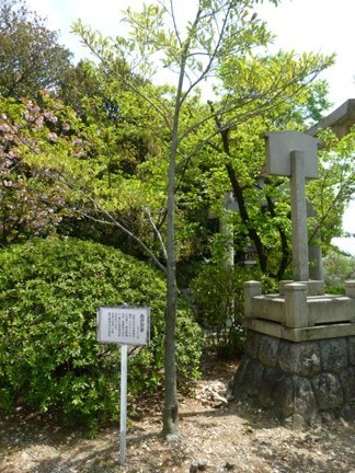 豊藤稲荷神社 (2).JPG