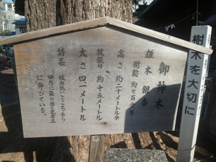 金山神社09.JPG