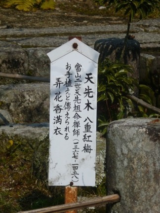 雲興寺19.JPG